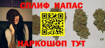spice Коммунар